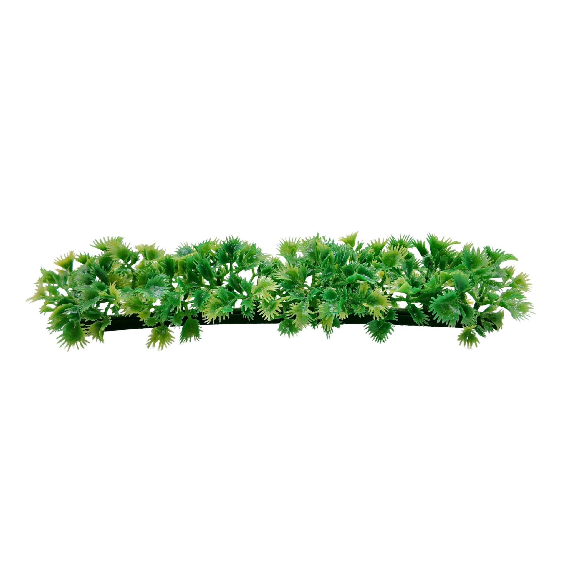 Luxury Parsley Garnish Refill 250mm 12 Pack - Butcher Shop Display Presentation