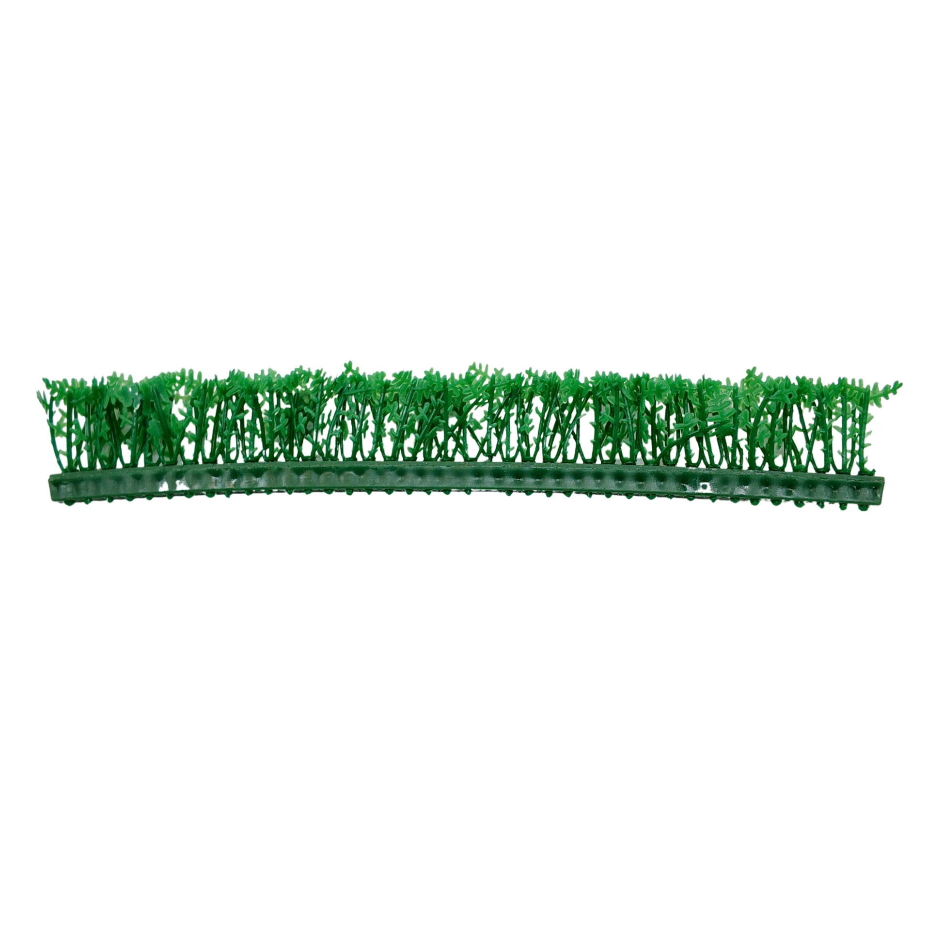 Green Cypress Garnish Refill 12 Pack - Butcher Shop Display Presentation Decoration
