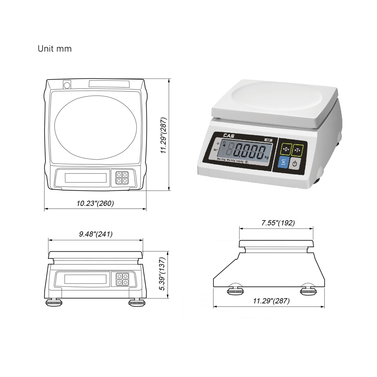 CAS SW-1 Scale