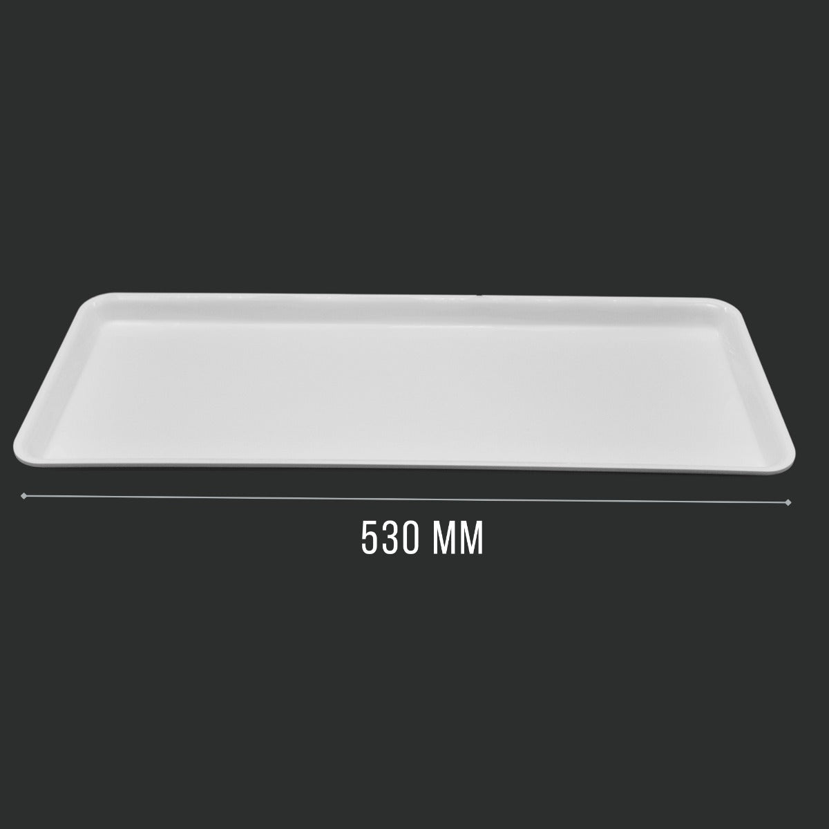 White GN 2/5 Tray Angled View - Food Safe Butcher Shop Display Presentation Tray