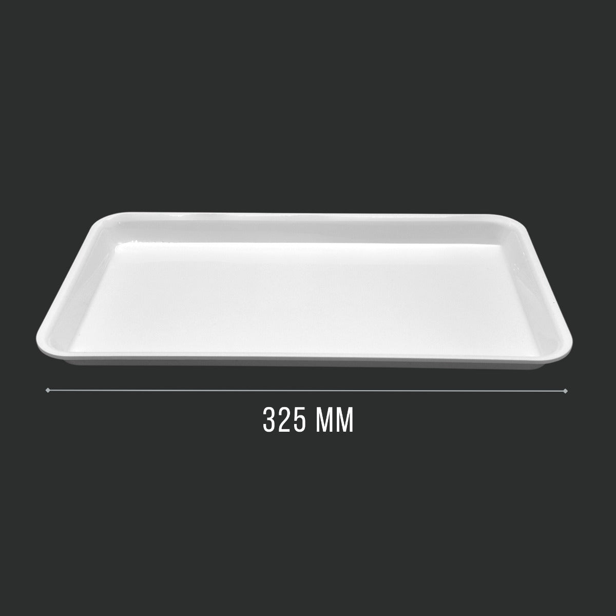 White GN 1/3 Tray Angled View - Food Safe Butcher Shop Display Presentation Tray