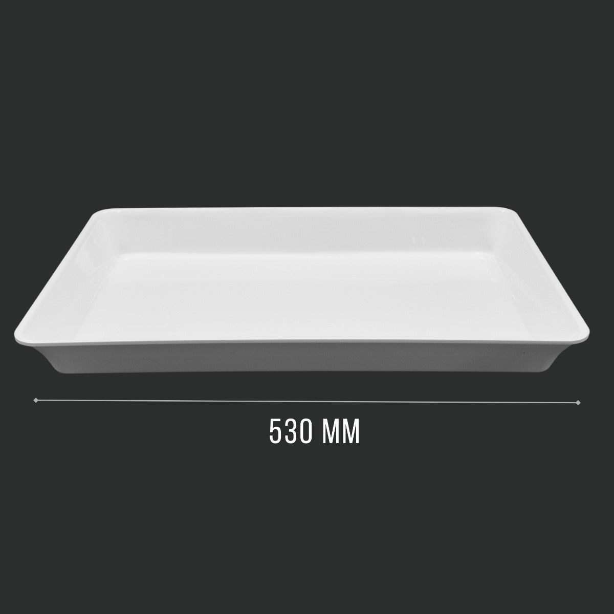 White GN 1/1 Tray Angled View - Food Safe Butcher Shop Display Presentation Tray