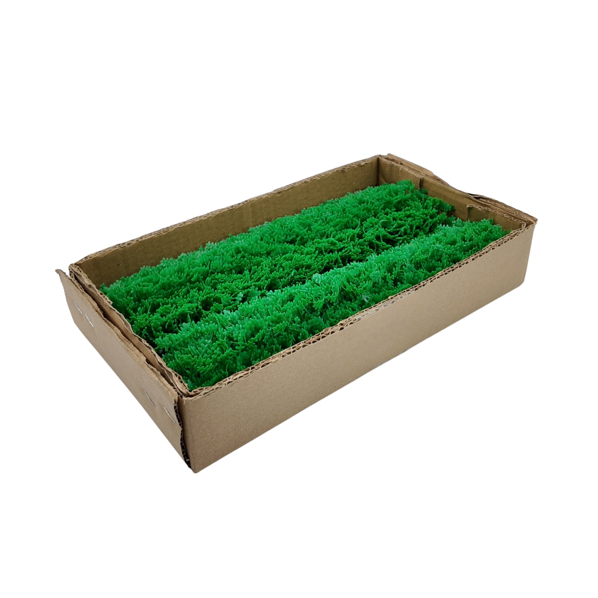 Green Cypress Garnish 12 Pack - Butcher Display Decoration Refill