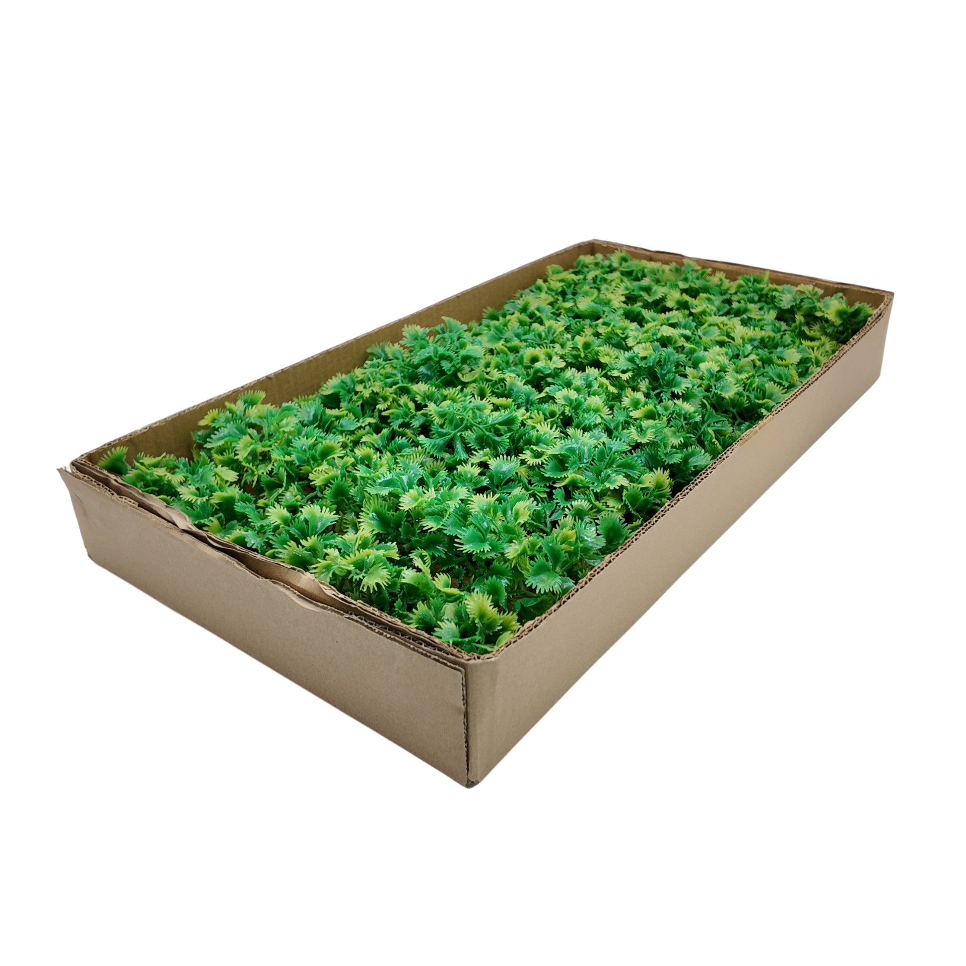 Luxury Parsley Garnish Refill 250mm - Professional Butcher Display Garnish Pack