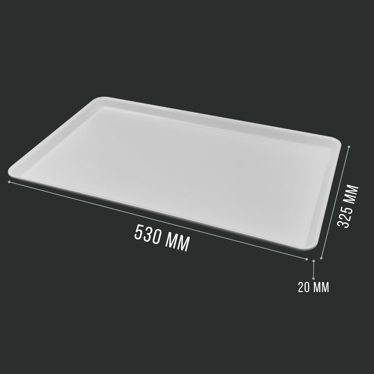 White Gastronorm Full Size Tray GN 1/1 - Commercial Butcher Meat Display Tray
