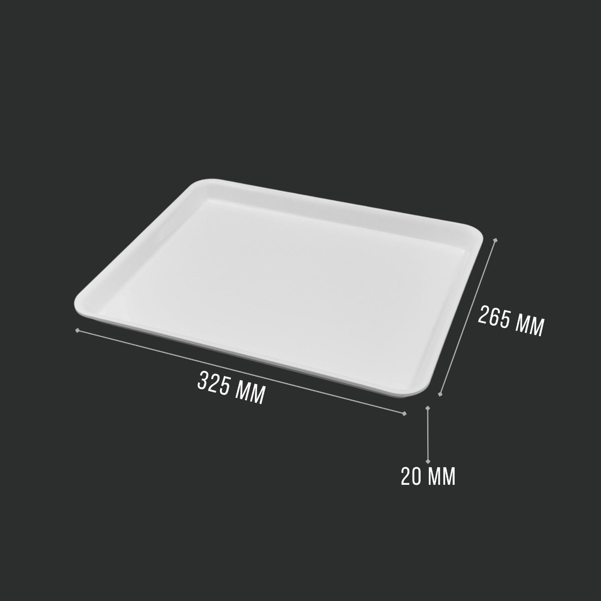 White GN 1/2 20 Tray Angle View 325x265mm - Butcher Shop Display Presentation Tray