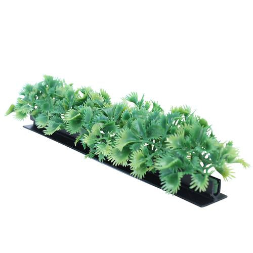 Luxury parsley garnish dividers with black base - 6 pack for butcher counter displays