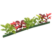Red Green Coleus Garnish Refill 250mm 12 Pack - Butcher Shop Display Presentation Garnish