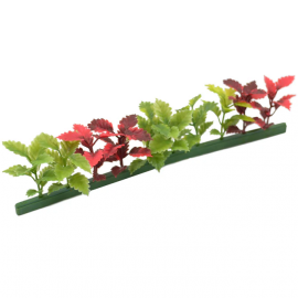 Garnish Refill Red/Green Coleus 250mm (12 Pack)