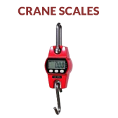 cranes scales